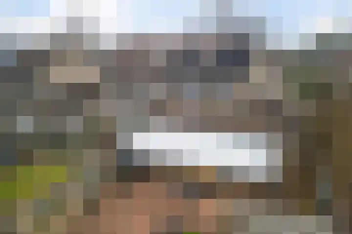 De Welhaak 32 Erica thumbnail 31
