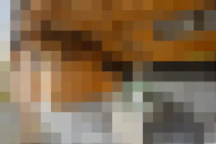 De Welhaak 32 Erica thumbnail 38