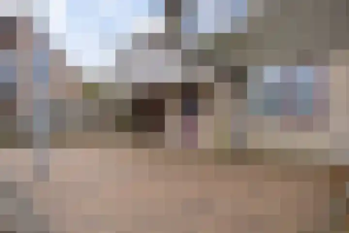 De Welhaak 32 Erica thumbnail 4