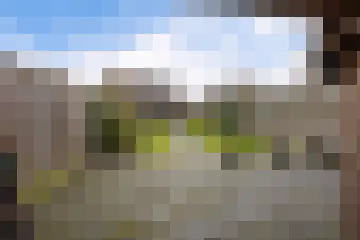 De Welhaak 32 Erica thumbnail 40