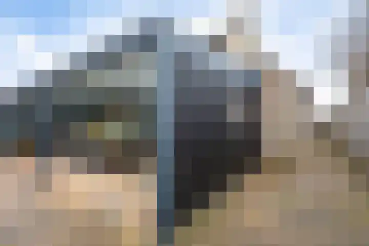 De Welhaak 32 Erica thumbnail 42