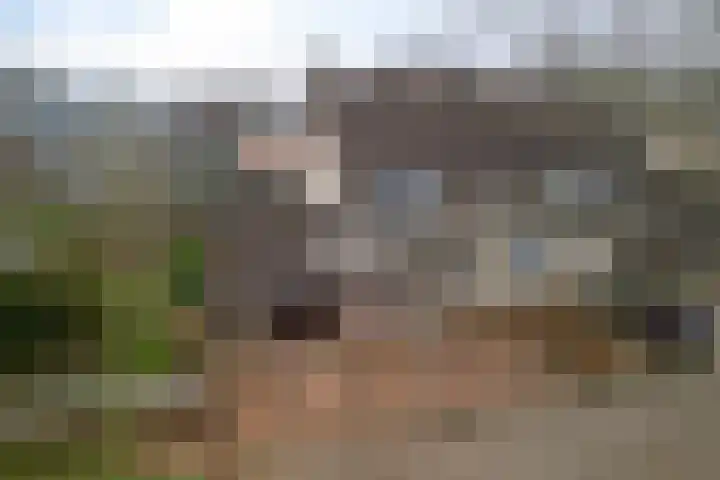 De Welhaak 32 Erica thumbnail 43