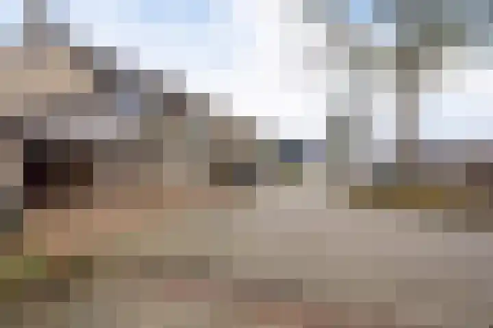 De Welhaak 32 Erica thumbnail 46