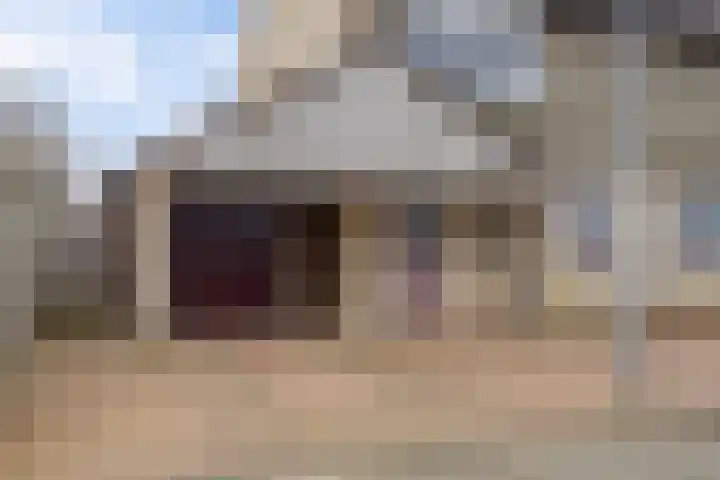 De Welhaak 32 Erica thumbnail 5
