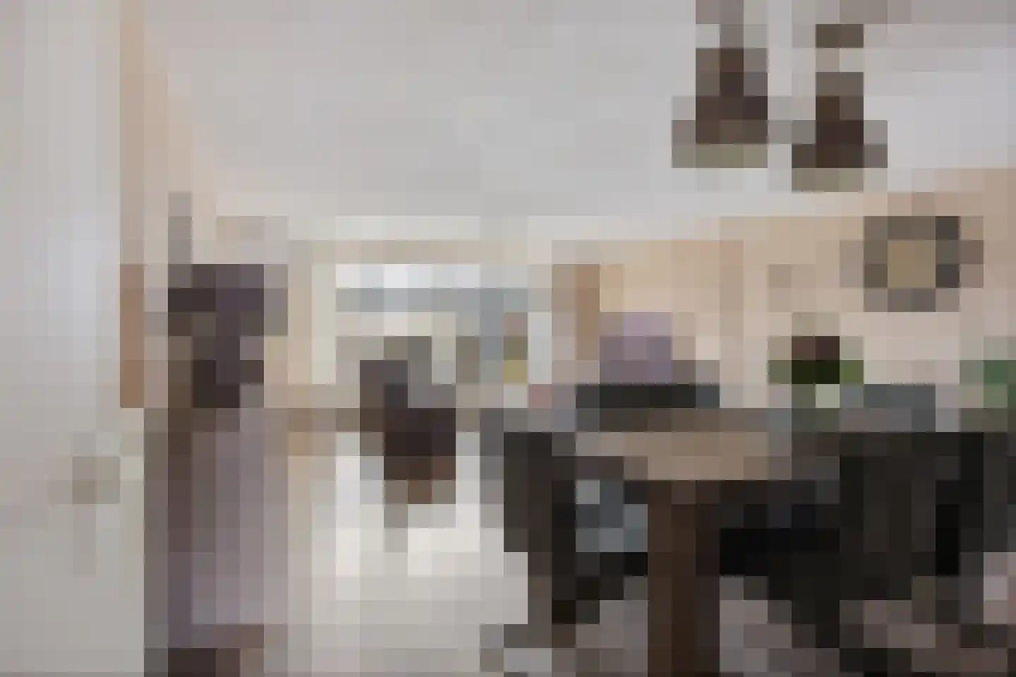 De Welhaak 32 Erica thumbnail 6