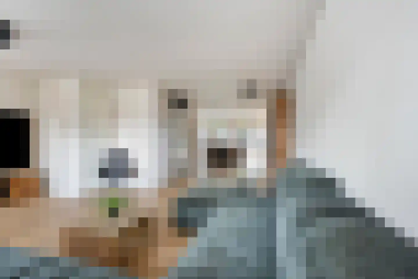 De Welle 35 Leeuwarden thumbnail 12