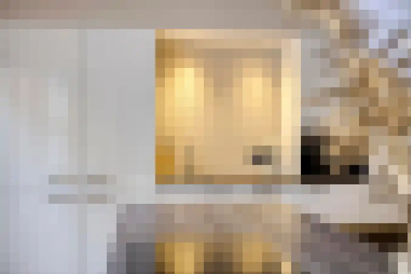 De Welle 35 Leeuwarden thumbnail 18