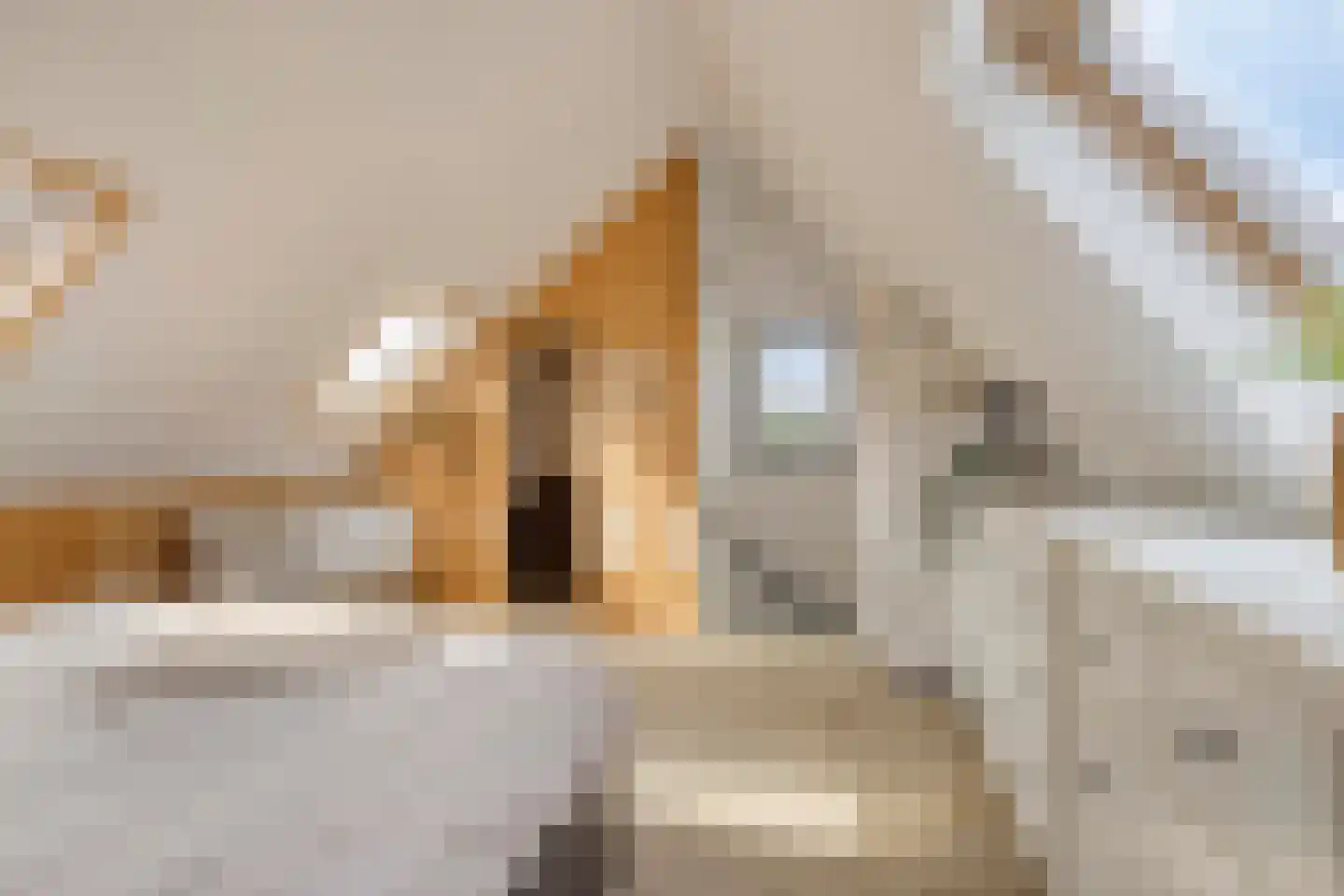 De Welle 35 Leeuwarden thumbnail 36