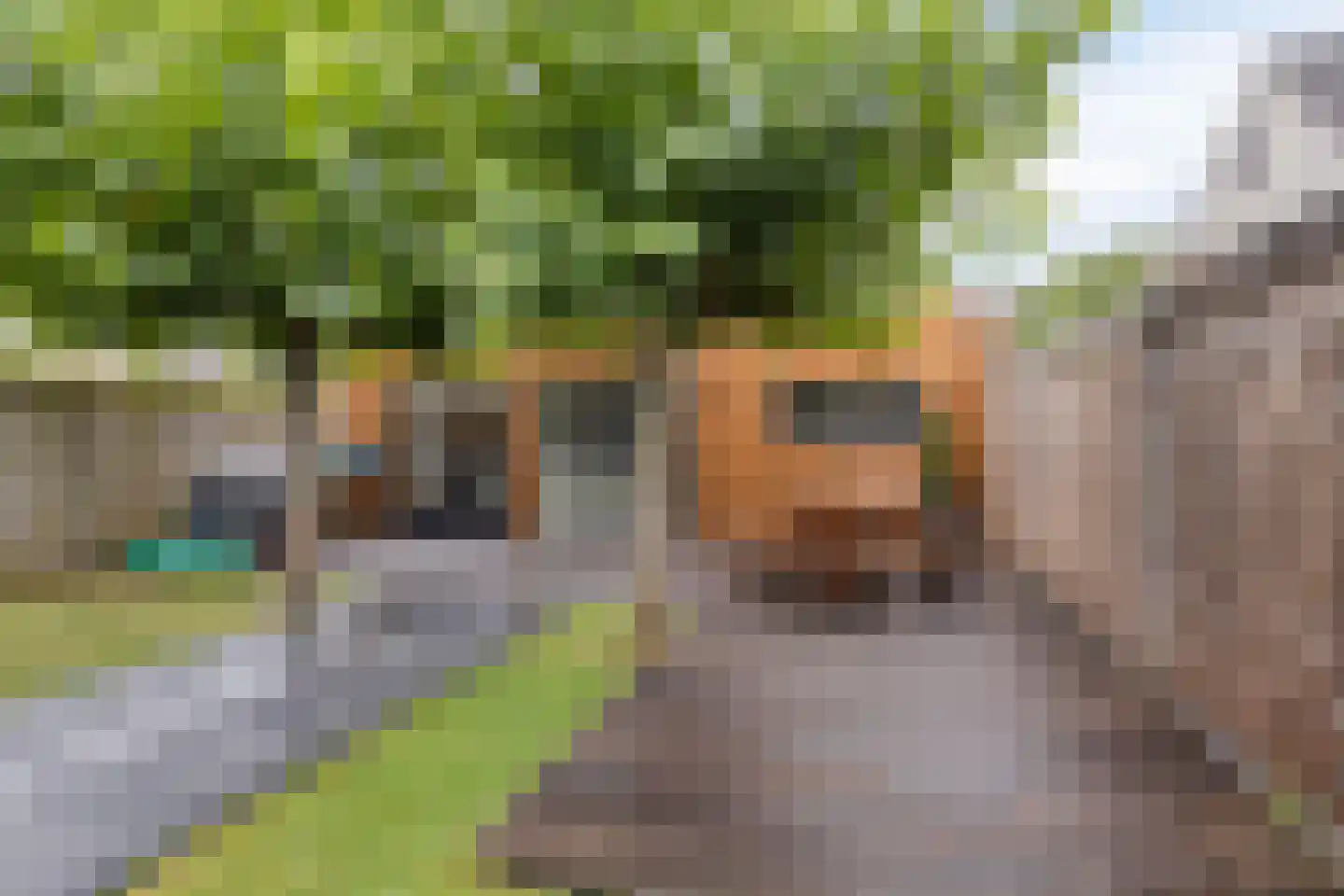 De Welle 35 Leeuwarden thumbnail 40