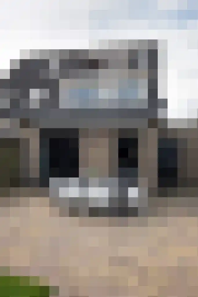 De Welle 43 Leeuwarden thumbnail 22