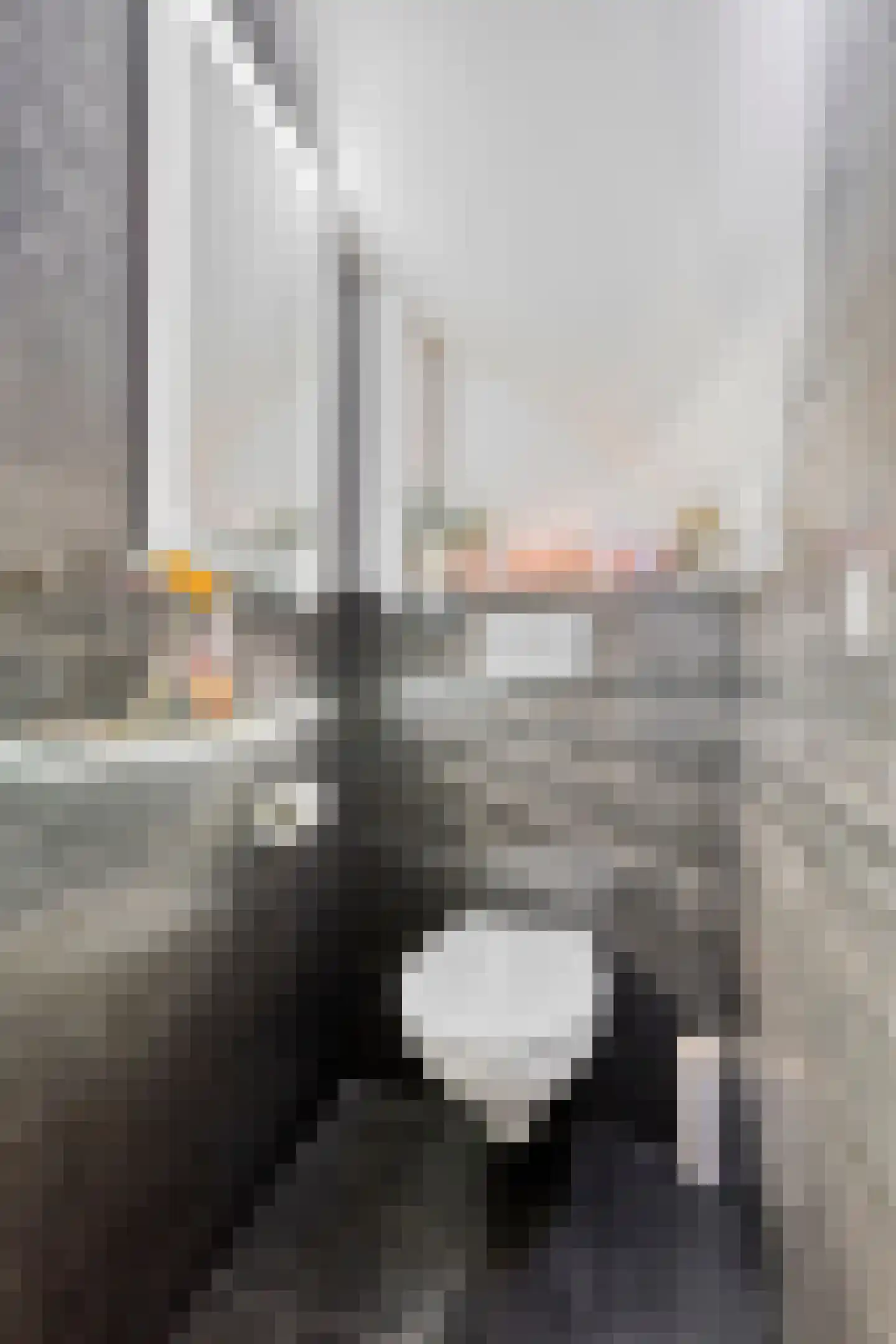 De Welle 7 Hooge Mierde thumbnail 14