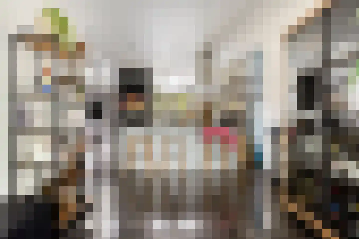 De Welle 7 Hooge Mierde thumbnail 17
