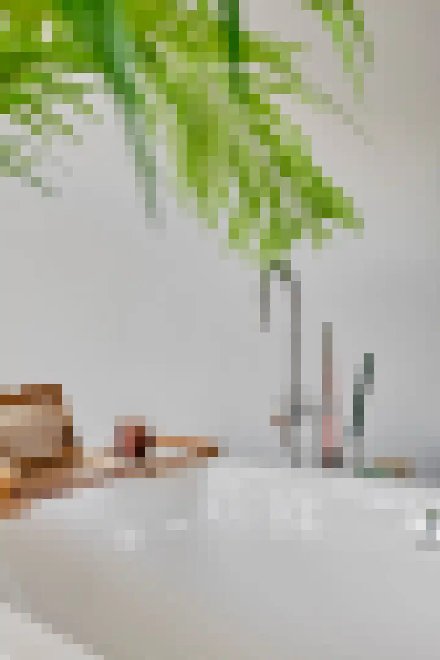 De Welle 7 Hooge Mierde thumbnail 31