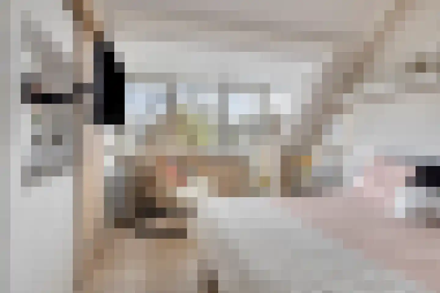De Welle 7 Hooge Mierde thumbnail 34