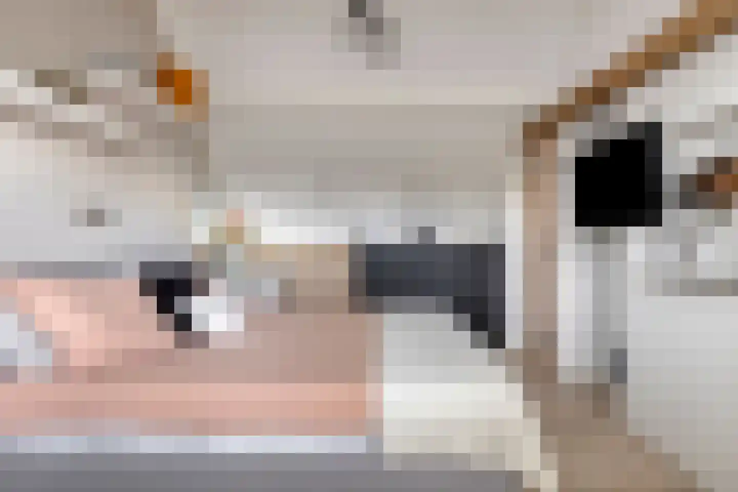 De Welle 7 Hooge Mierde thumbnail 35