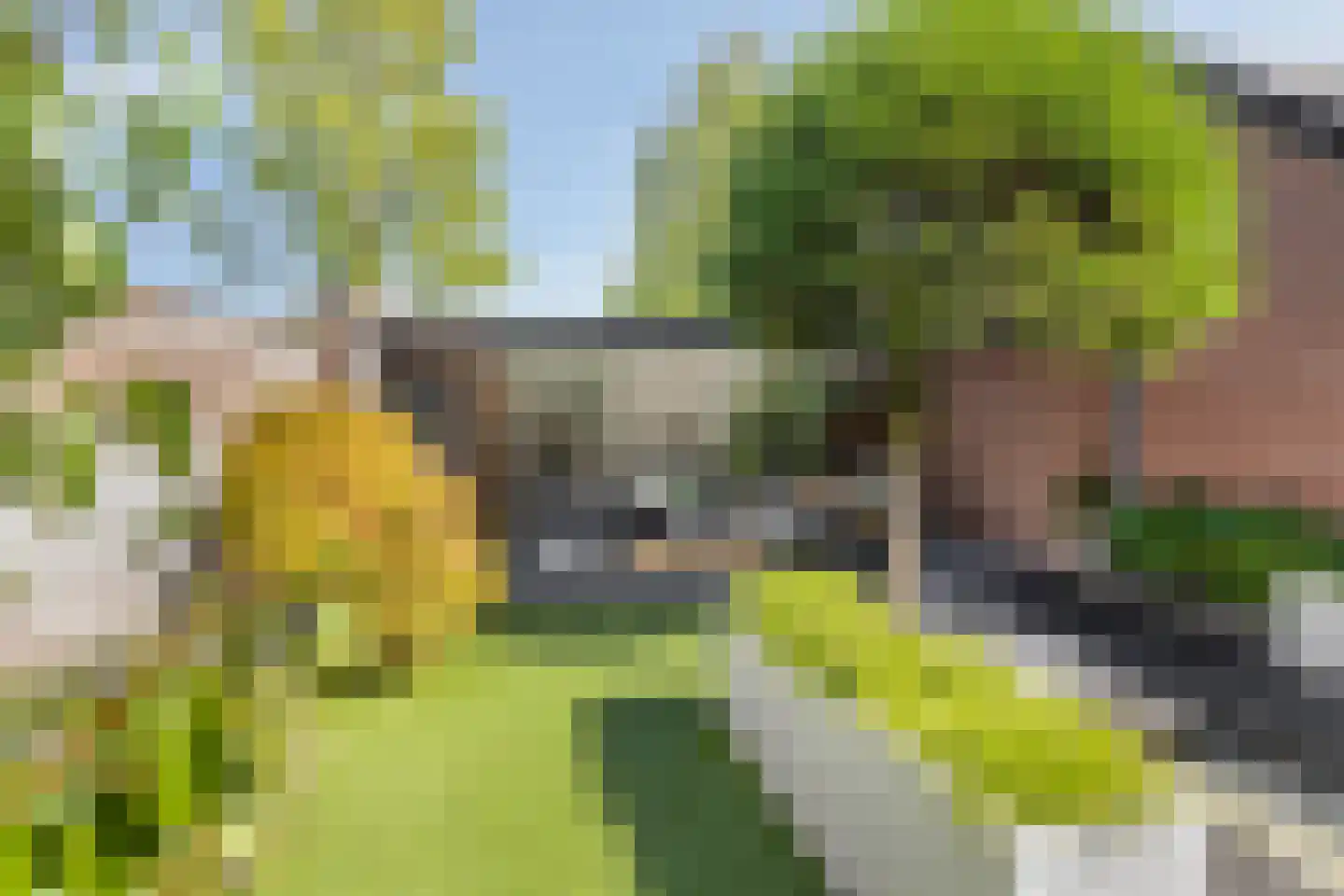 De Welle 7 Hooge Mierde thumbnail 4