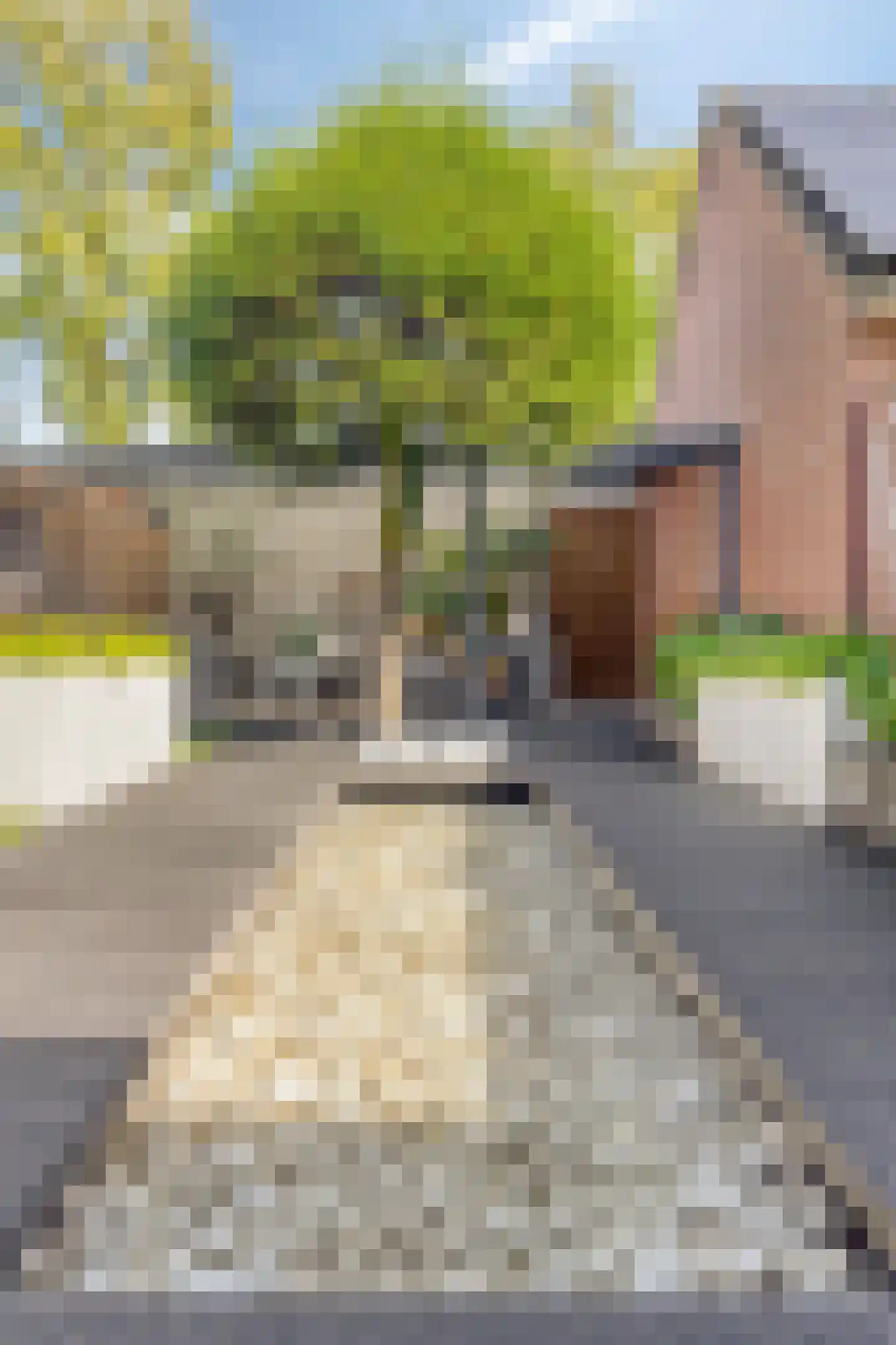 De Welle 7 Hooge Mierde thumbnail 42