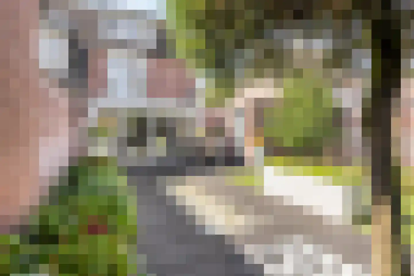 De Welle 7 Hooge Mierde thumbnail 44