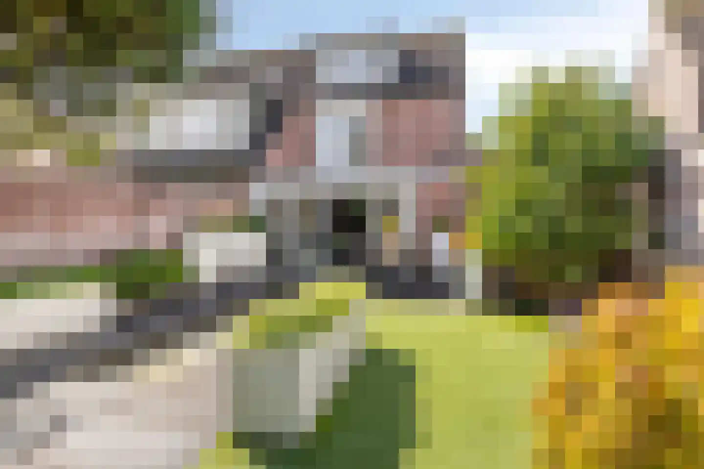 De Welle 7 Hooge Mierde thumbnail 45