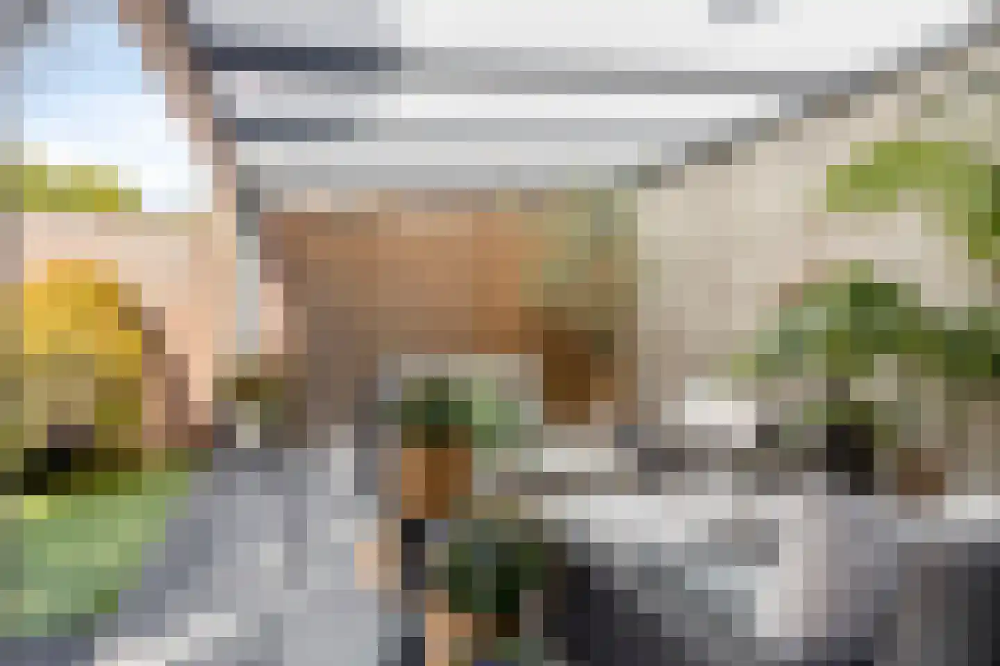 De Welle 7 Hooge Mierde thumbnail 46
