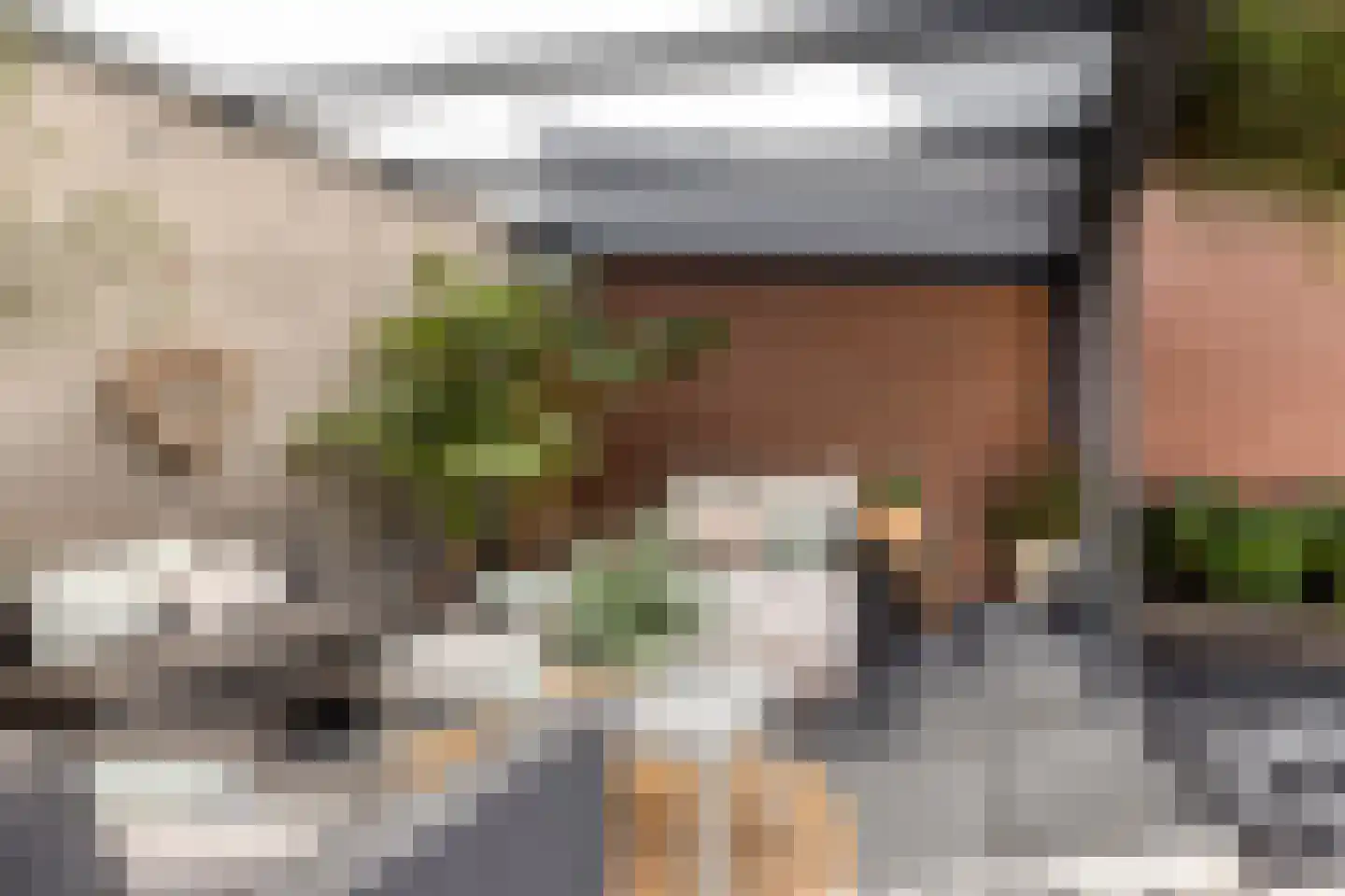 De Welle 7 Hooge Mierde thumbnail 47