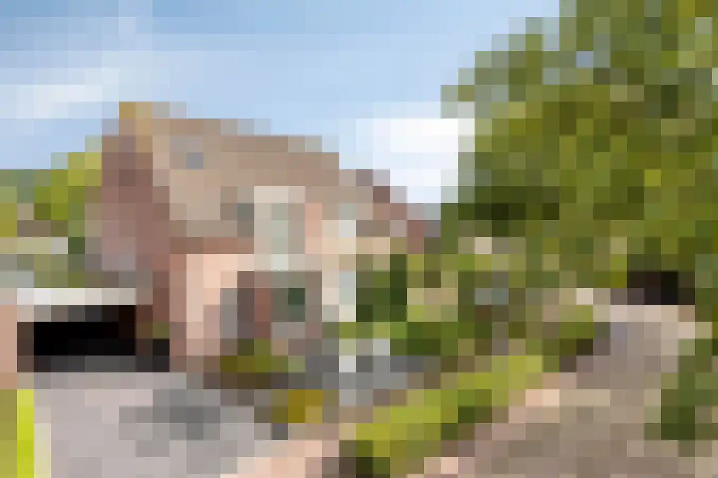 De Welle 7 Hooge Mierde thumbnail 55