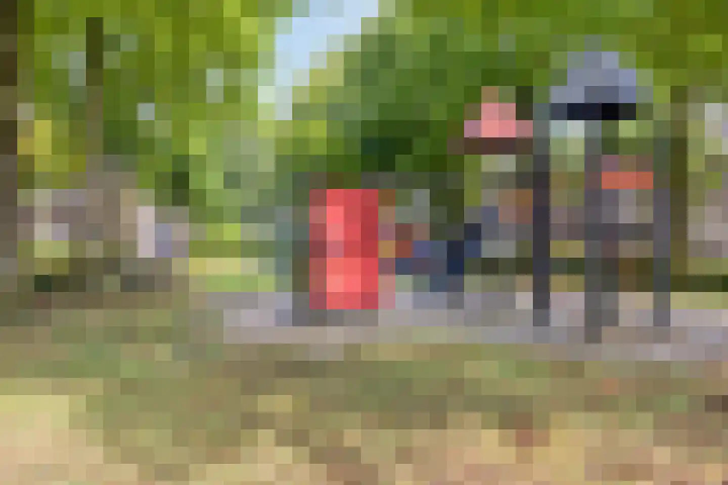 De Welle 7 Hooge Mierde thumbnail 56