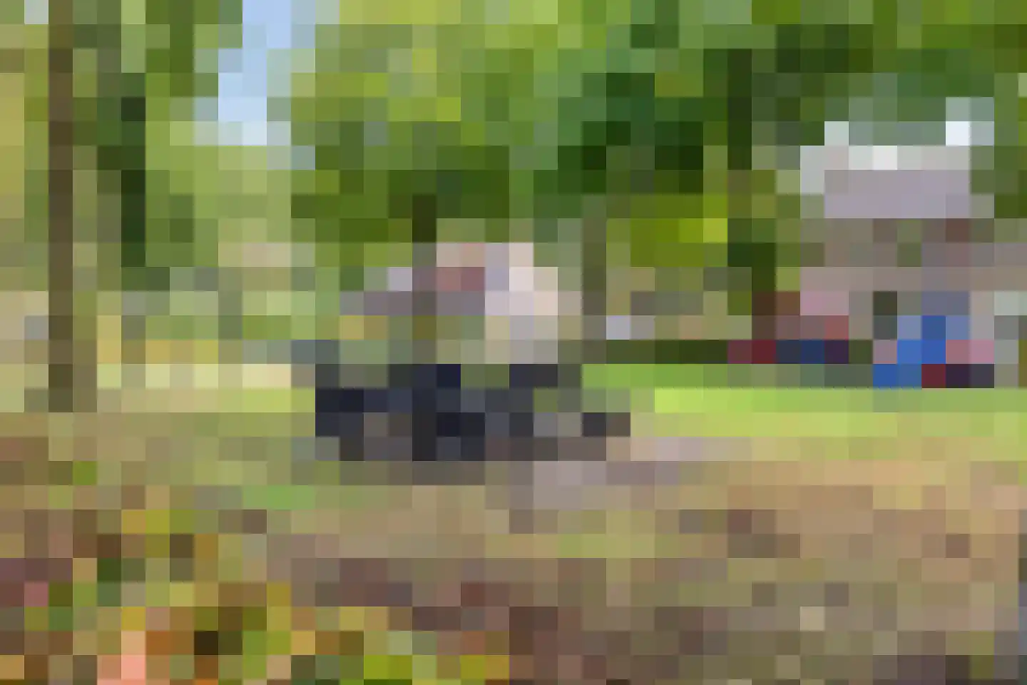 De Welle 7 Hooge Mierde thumbnail 57