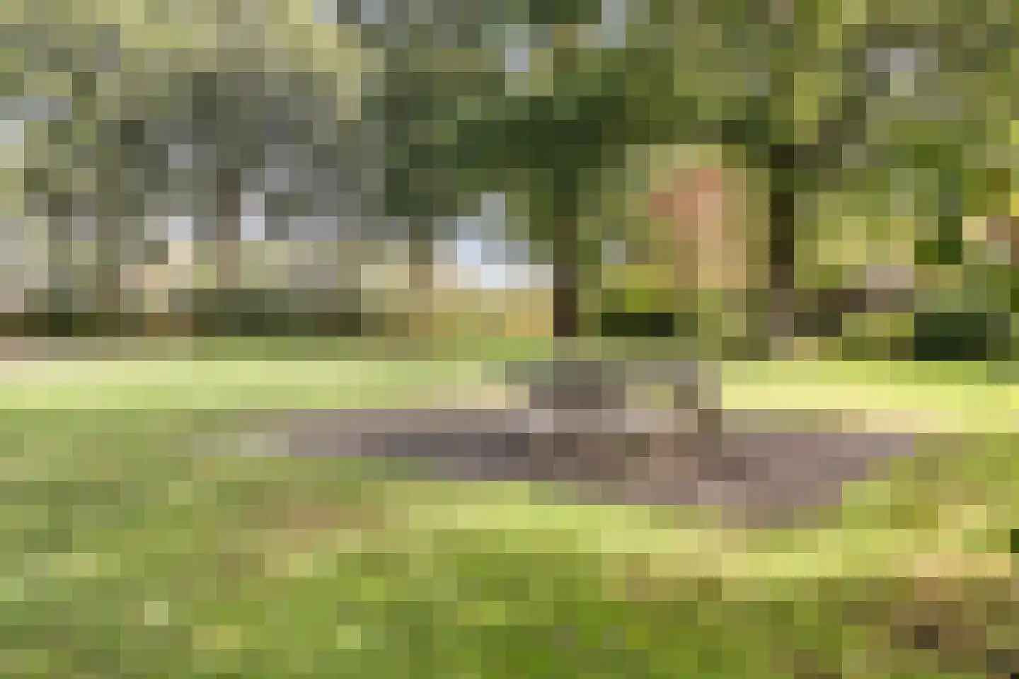 De Welle 7 Hooge Mierde thumbnail 58