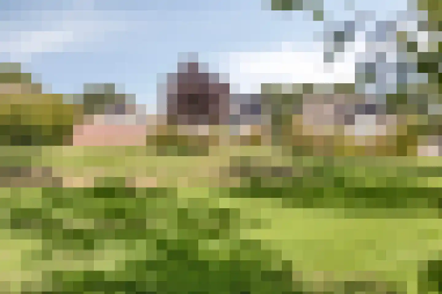 De Welle 7 Hooge Mierde thumbnail 59
