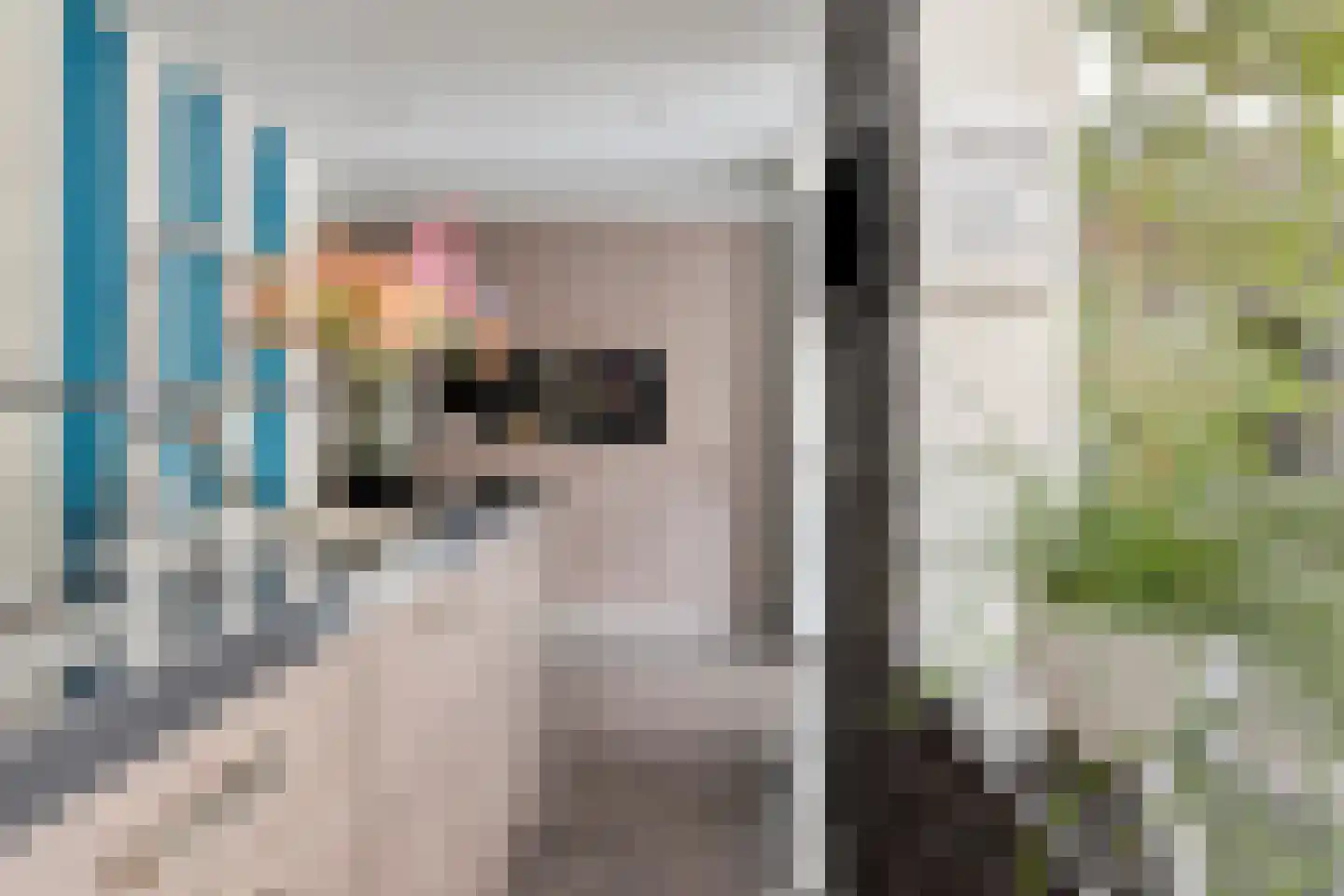 De Welle 7 Hooge Mierde thumbnail 8