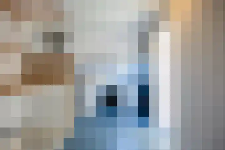 de Wellenkamp 1132 Nijmegen thumbnail 30