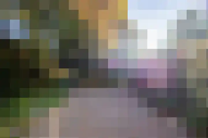 de Wellenkamp 1132 Nijmegen thumbnail 37
