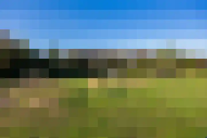 de Wellenkamp 1132 Nijmegen thumbnail 41