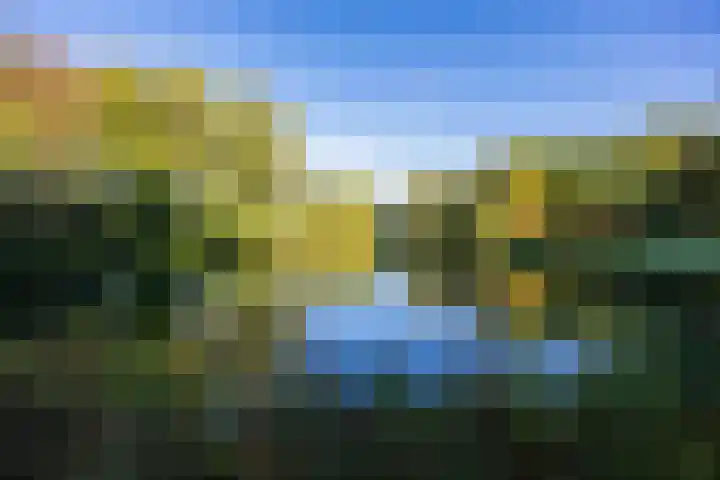 de Wellenkamp 1132 Nijmegen thumbnail 42