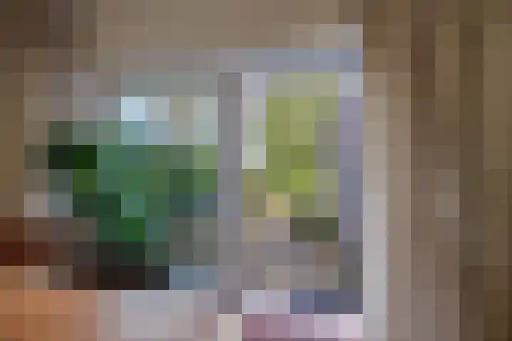 de Wellenkamp 1137 Nijmegen thumbnail 13