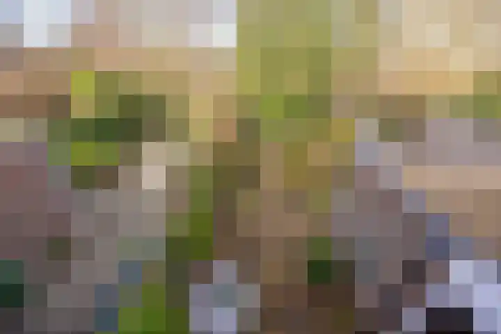 de Wellenkamp 1137 Nijmegen thumbnail 23