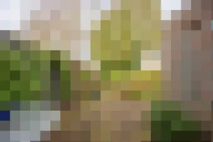 de Wellenkamp 1137 Nijmegen thumbnail 28