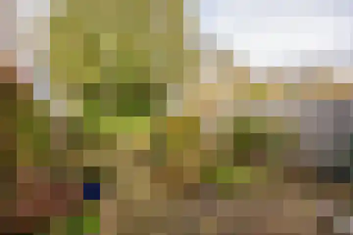 de Wellenkamp 1137 Nijmegen thumbnail 29