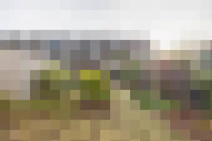 de Wellenkamp 1137 Nijmegen thumbnail 30