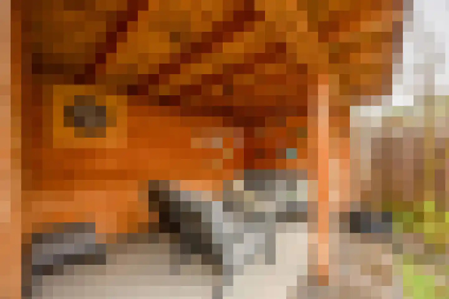 de Wellenkamp 1216 Nijmegen thumbnail 32