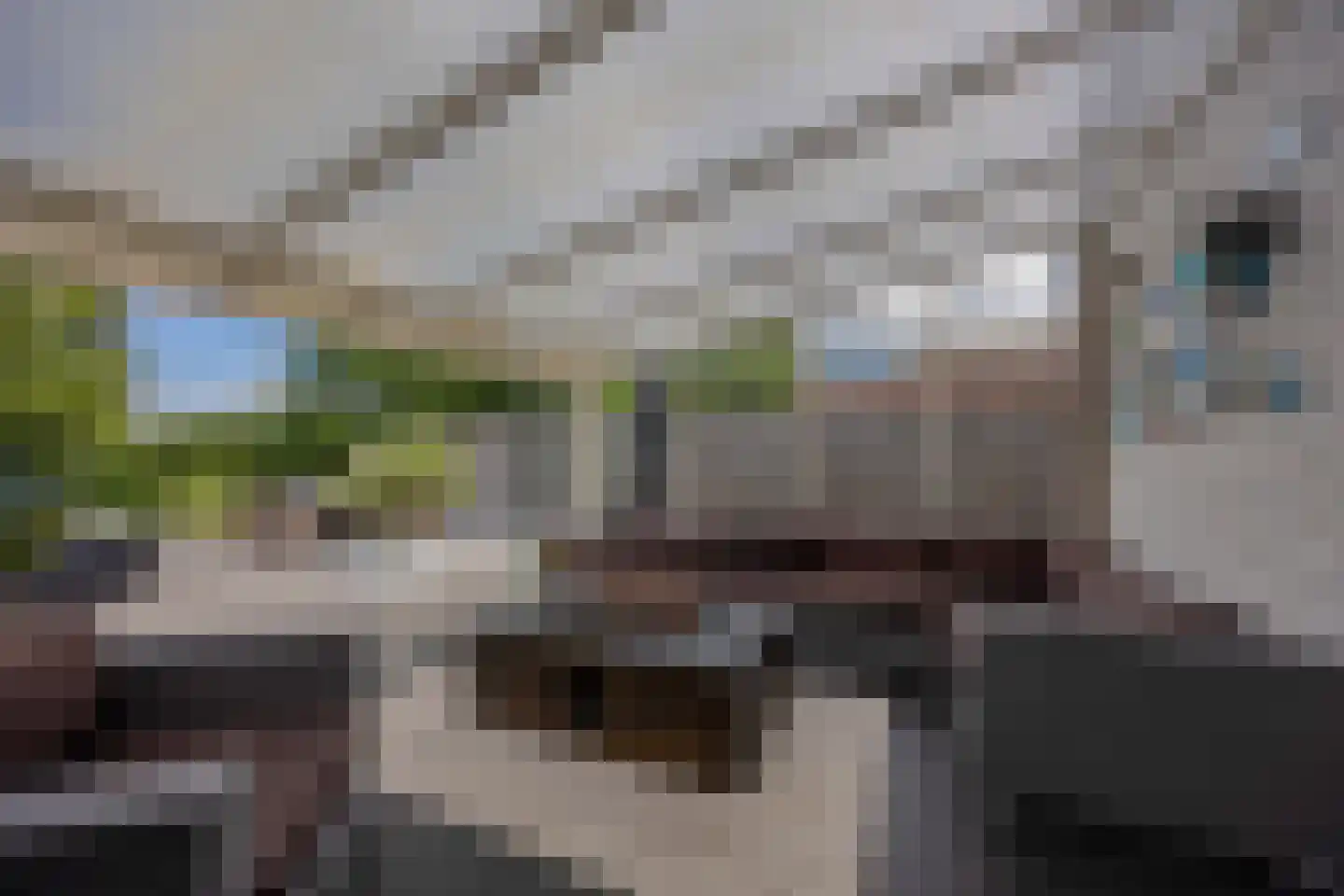 de Wellenkamp 1224 Nijmegen thumbnail 17