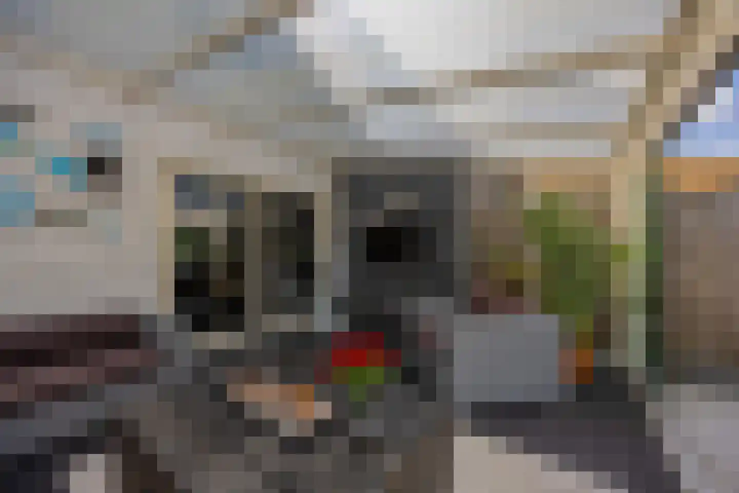 de Wellenkamp 1224 Nijmegen thumbnail 19