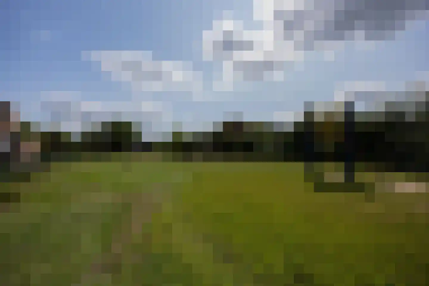 de Wellenkamp 1224 Nijmegen thumbnail 44