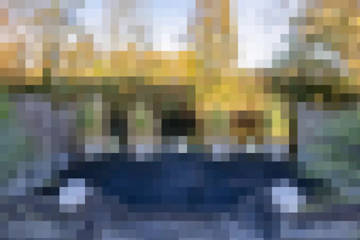 de Wellenkamp 1224 Nijmegen thumbnail 53