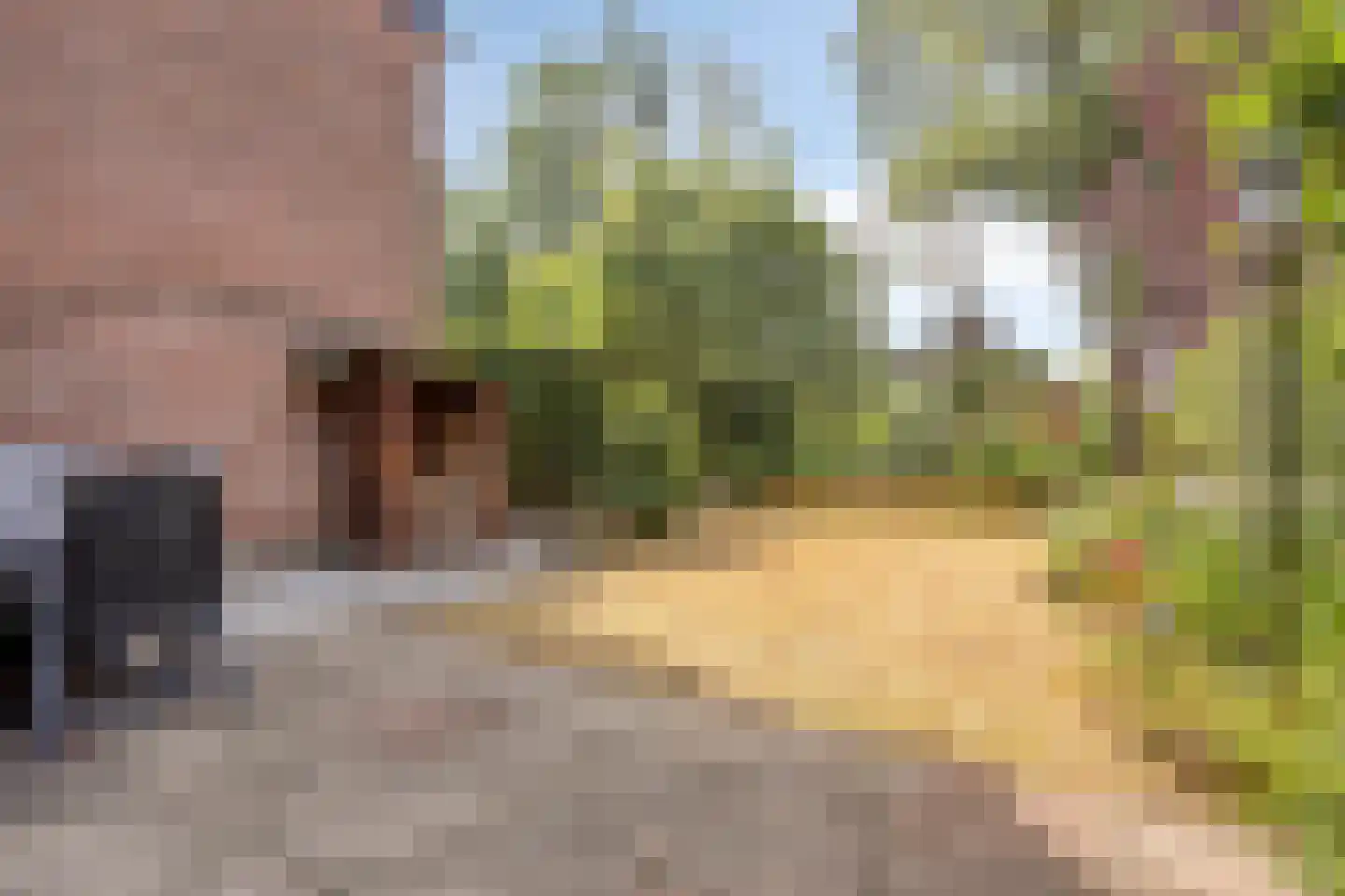 de Wellenkamp 1468 Nijmegen thumbnail 25