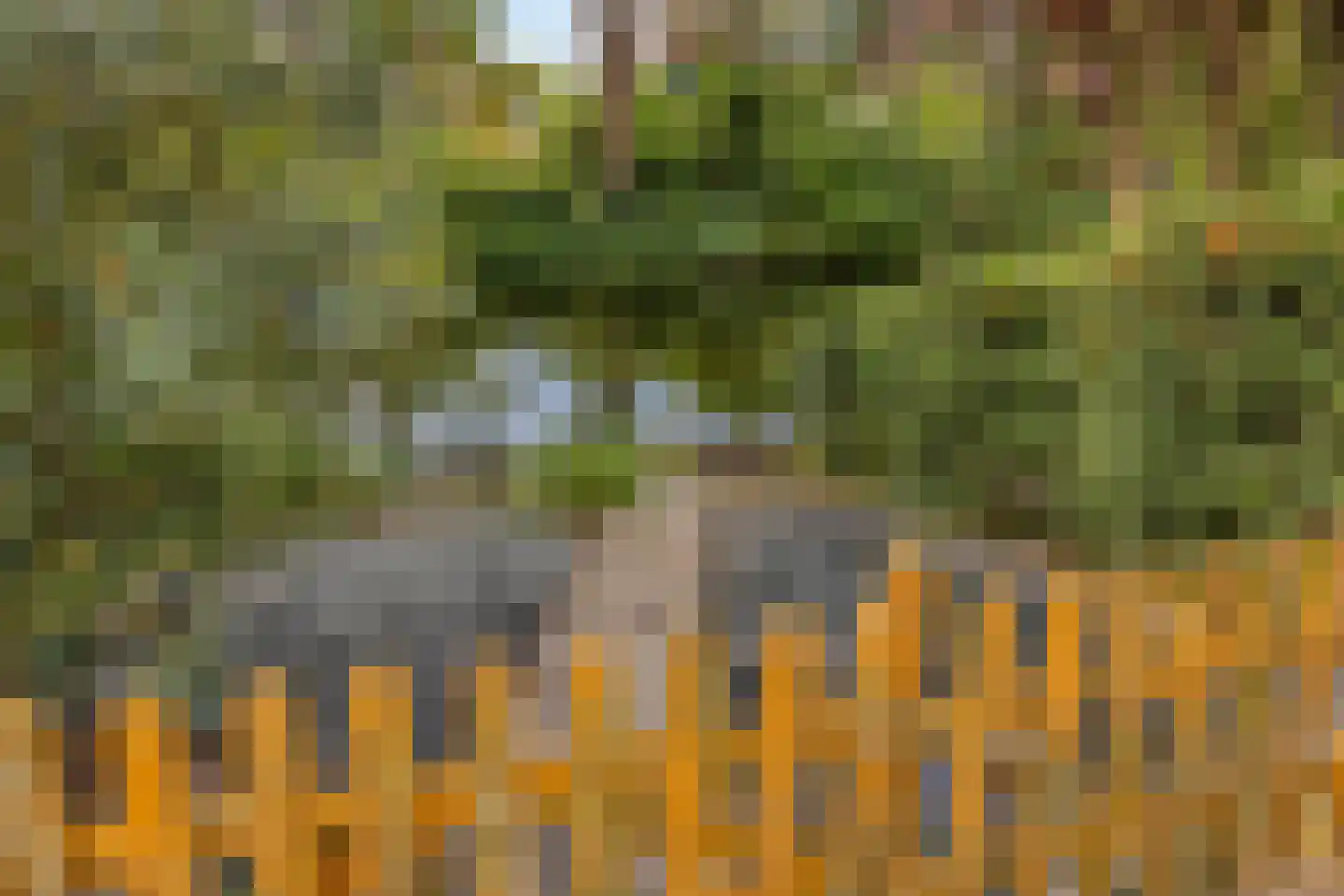 de Wellenkamp 1468 Nijmegen thumbnail 27
