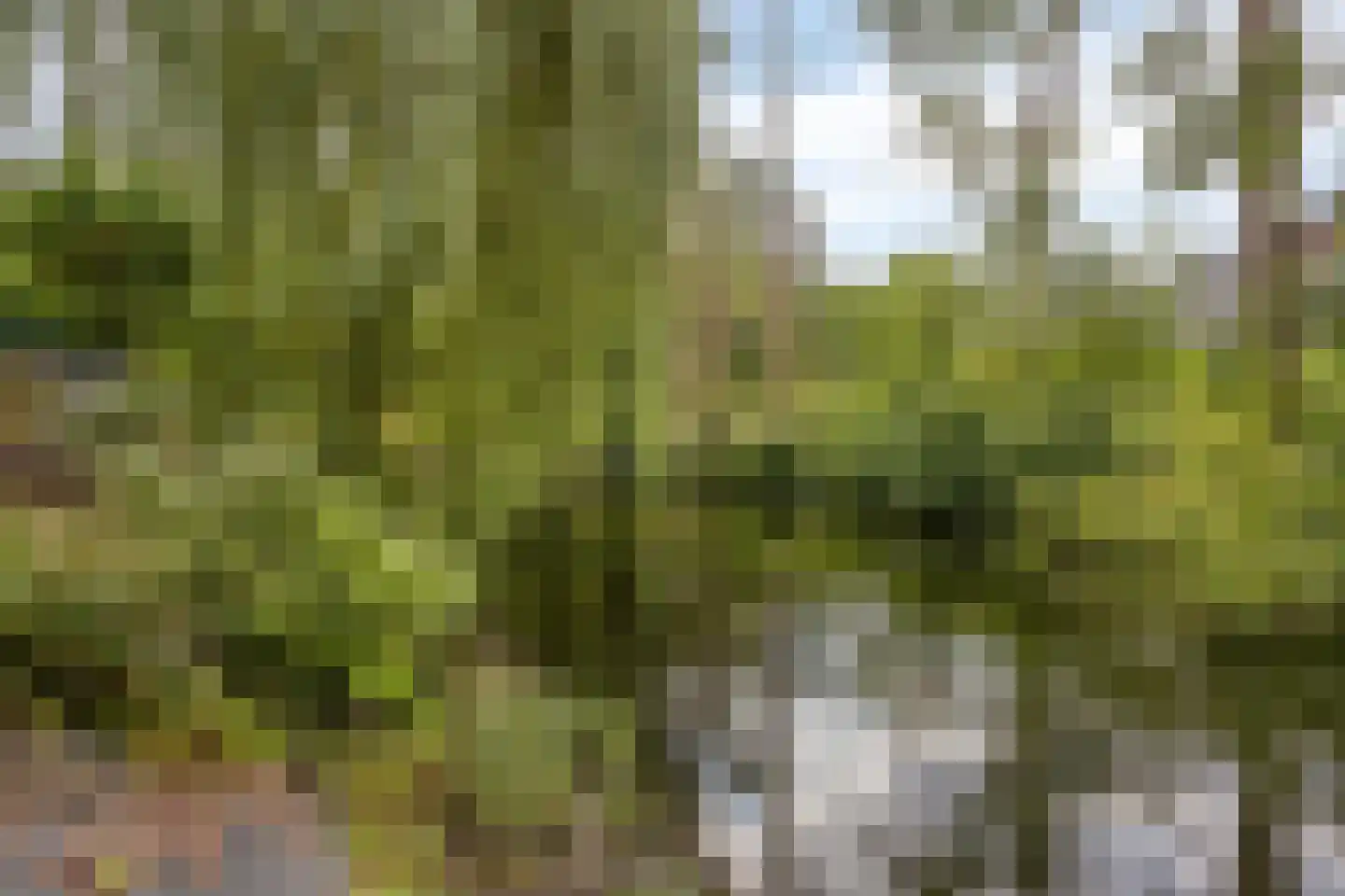 de Wellenkamp 1468 Nijmegen thumbnail 28