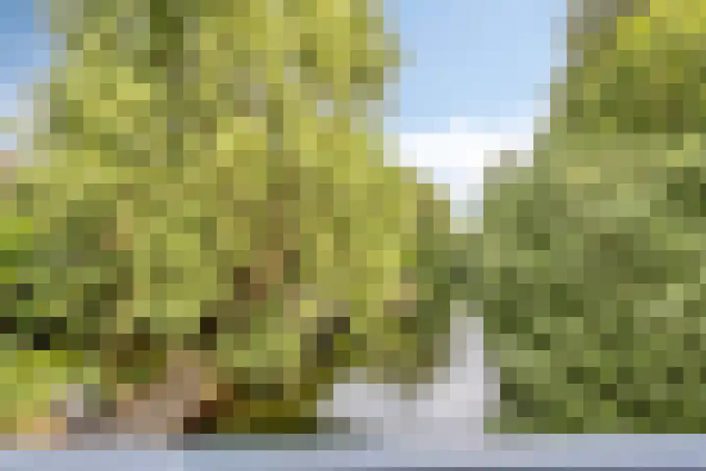 de Wellenkamp 1468 Nijmegen thumbnail 33