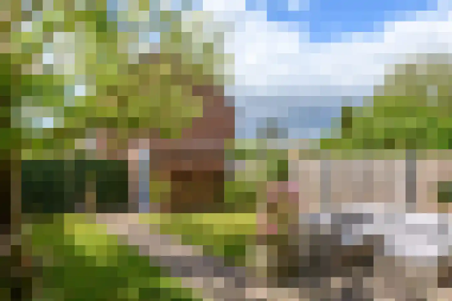 de Wellenkamp 1501 Nijmegen thumbnail 4